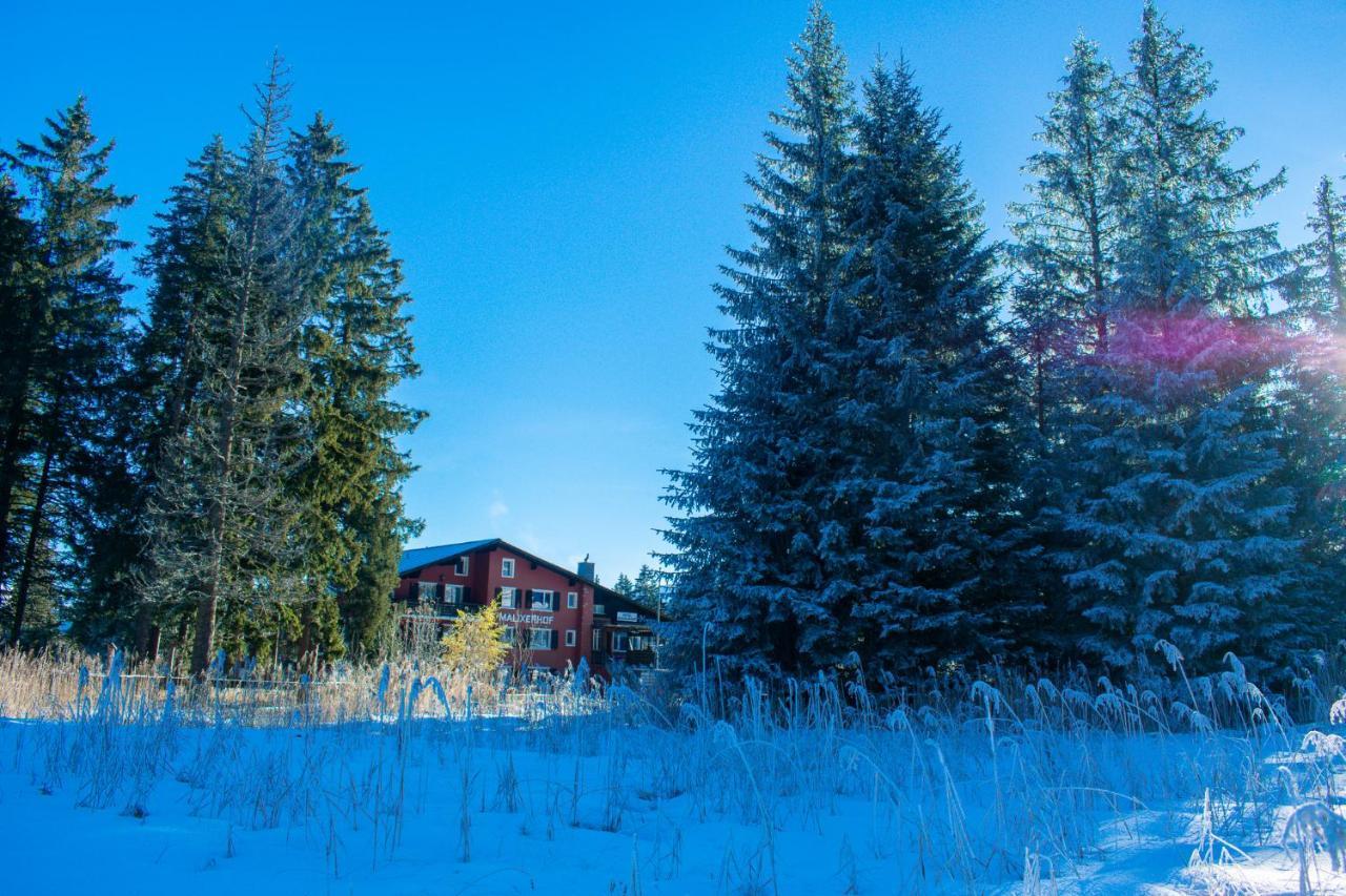 Hotel Malixerhof Экстерьер фото